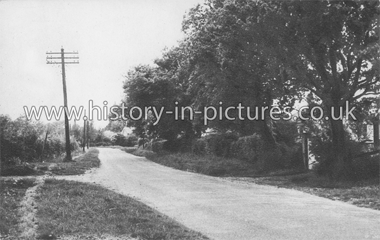 The Road Approaching West Hanningfield, Chelmsford, Essex c.1930's